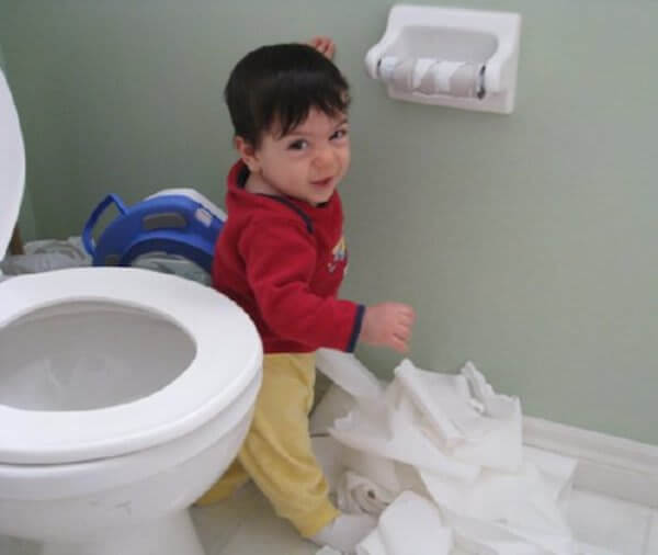 Toliet Paper Amuse Toddlers