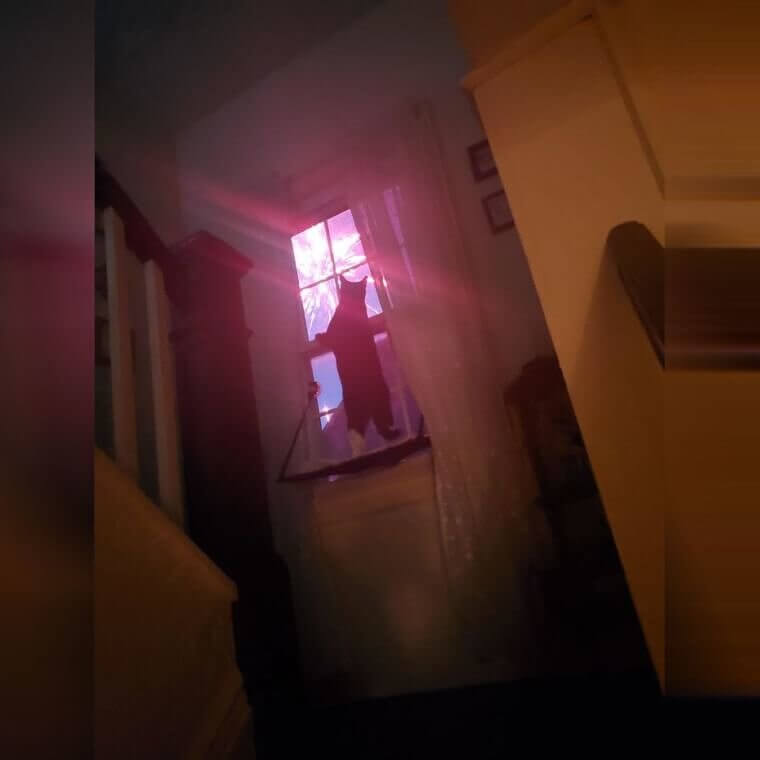 Meanwhile in The USA