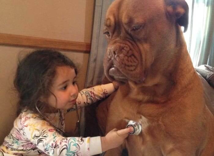 Future Doctor