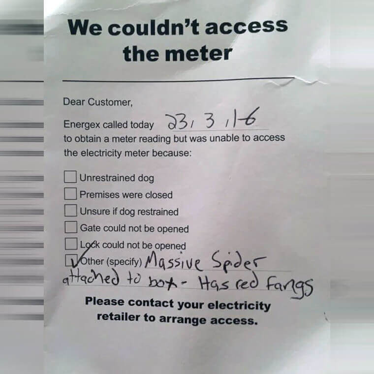 Meanwhile in Australia