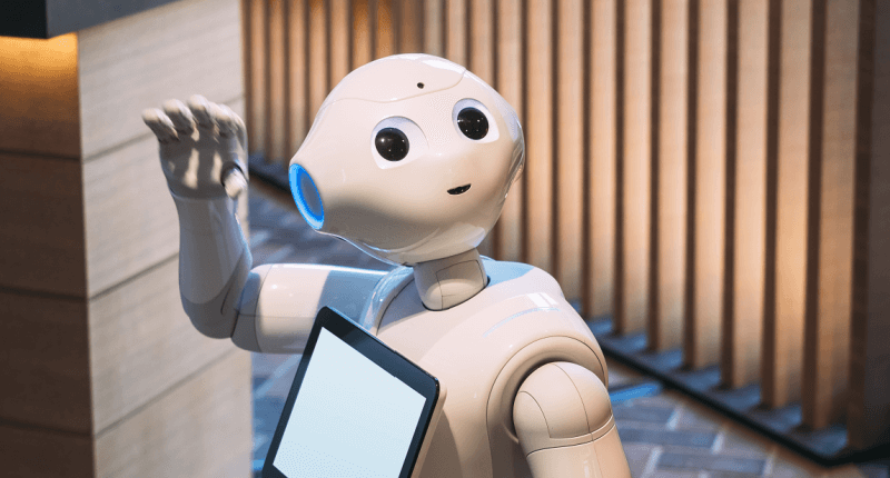 Funny Software Mishaps That Left Users Laughing