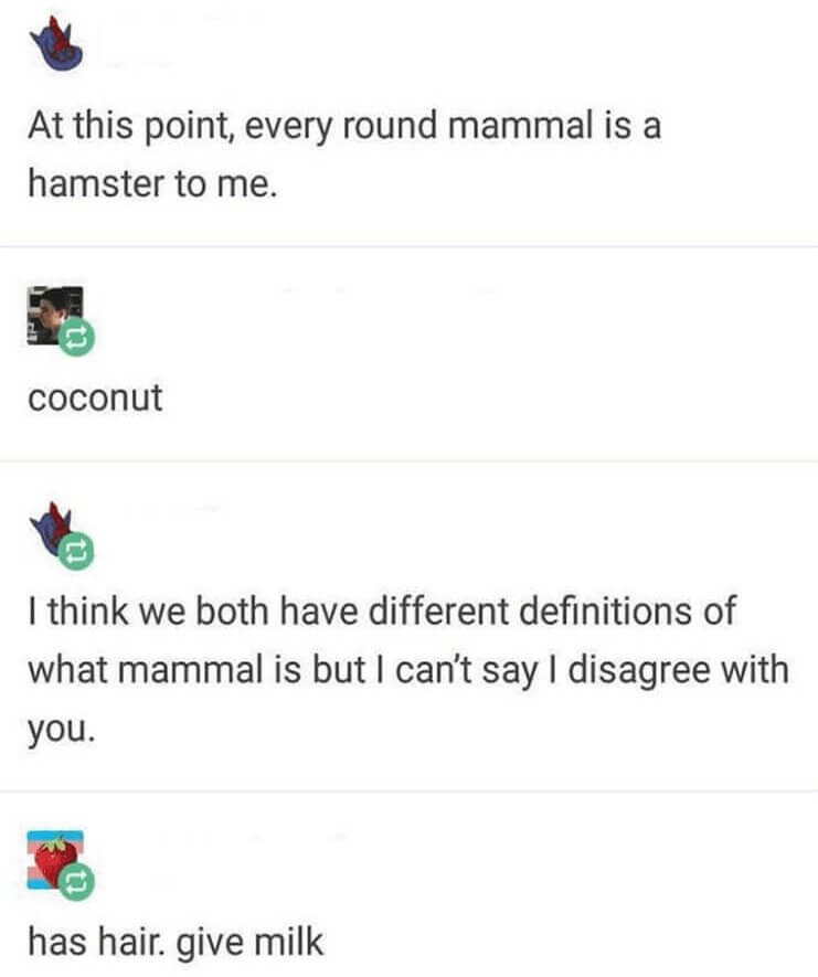 Can't Argue With That Logic