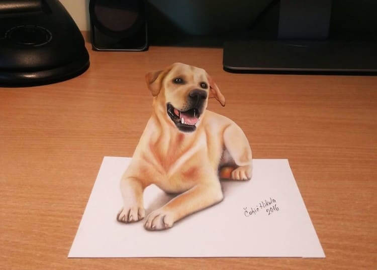 Good Boy