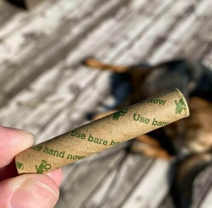 When the Dog Poop Bags Run Out