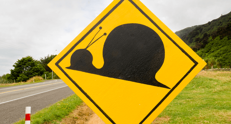 These Signs Are Wrong in All the Right Ways