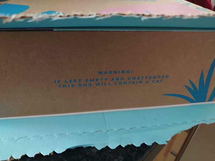 Cat Owners Need to Be Aware