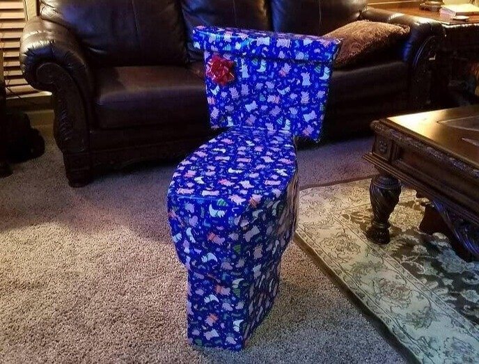 We're Disguising Gifts as Toilets Now, Are We?