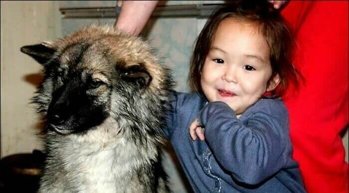 Little Girl Survives Days in the Siberian Woods