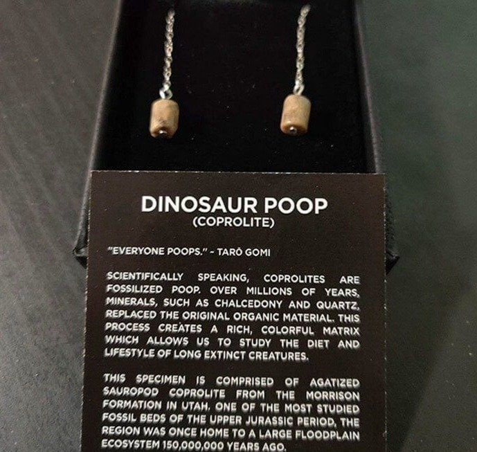 She Asked for "crappy Earrings"