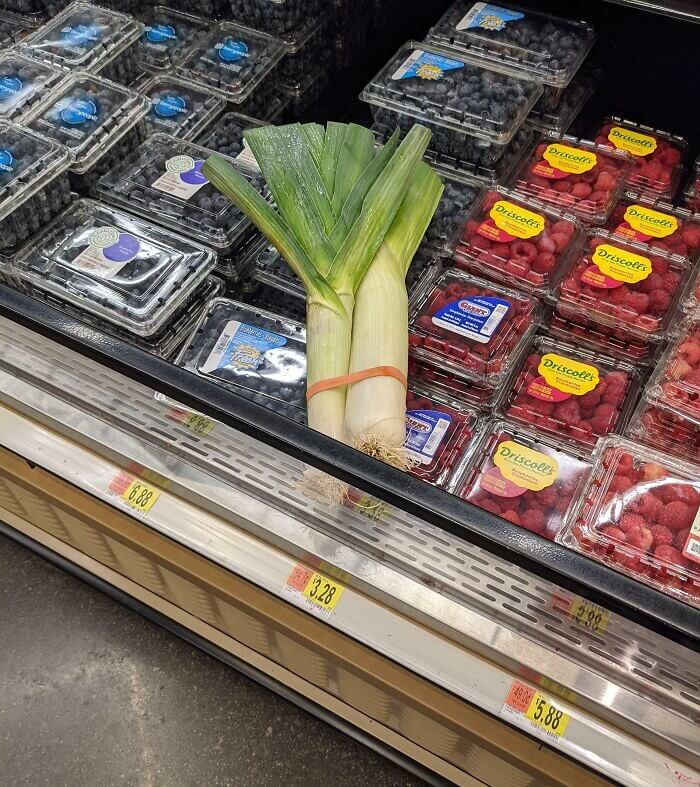 A Fruity Blueberry Leak in Literal Terms