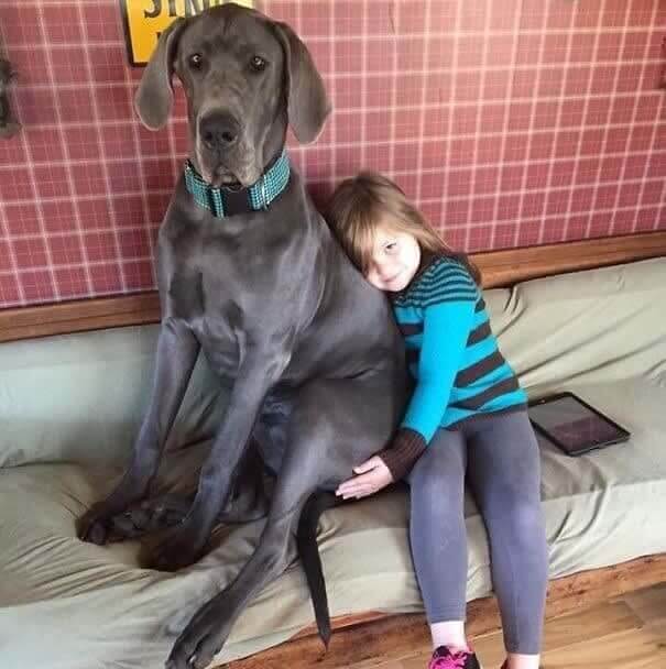 Friendship Despite Difference in Sizes