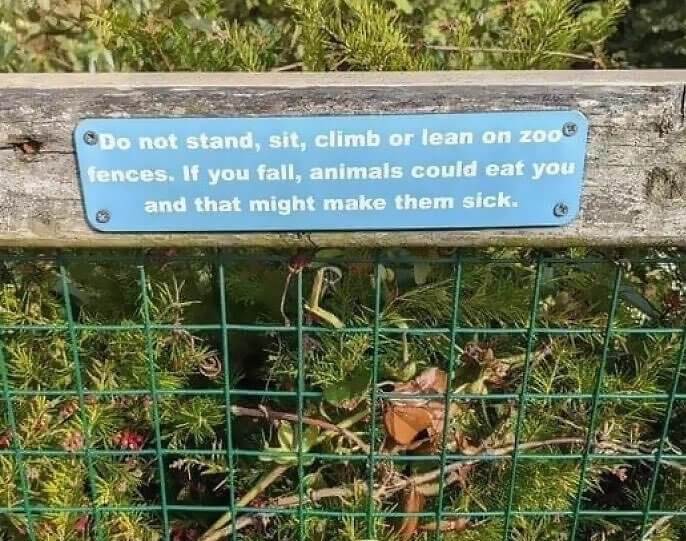 Visitors Falling in Is Bad Because It Might Make the Animals Sick - No Other Reason
