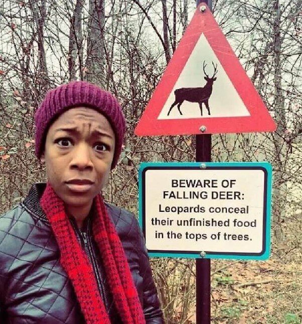 So We Shouldn't Worry About the Leopards?