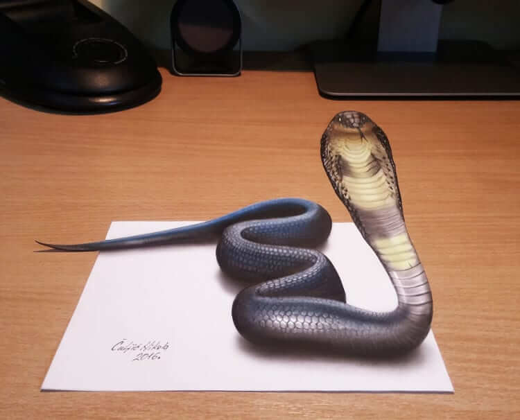 Snake Charmer