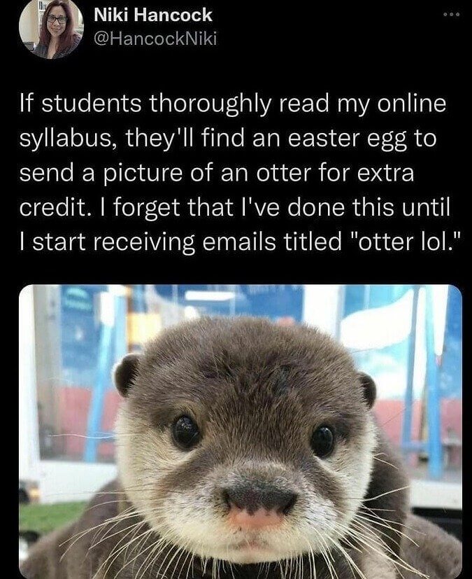 Only Students Who Really Read the Syllabus Found This Extra Credit Easter Egg