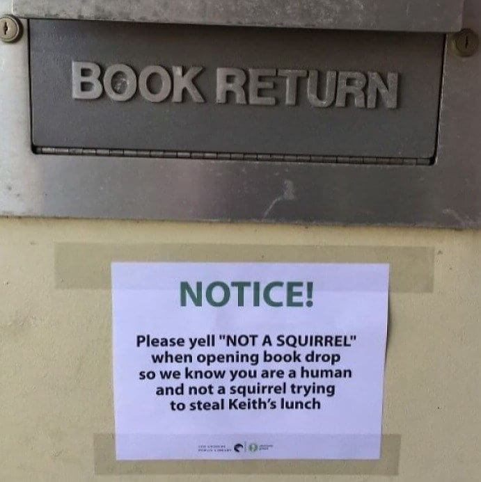 The Squirrel Bandit Loves Keith's Lunch