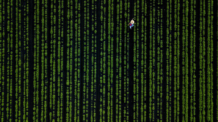 No, This Isn't a Computer Screen With Code