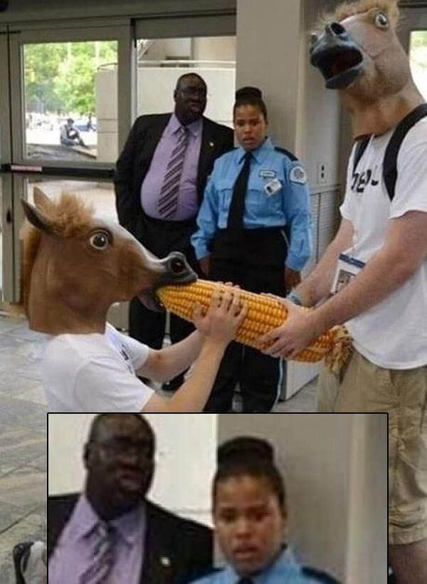 Unexpected Donkey Show