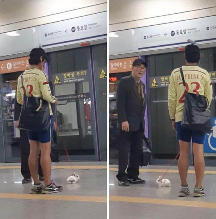 Meanwhile in Korea