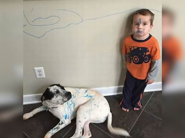 "Bro, Really?”