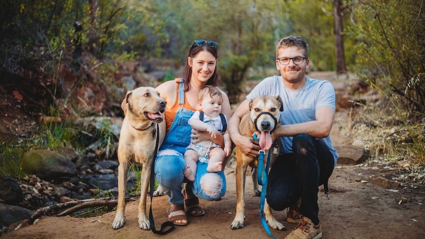 How a Rescue Dog Became a Valuable Part of My Life